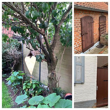 Ferienhaus Liebenswert An Der St Stephan Kirche 坦哲蒙 外观 照片